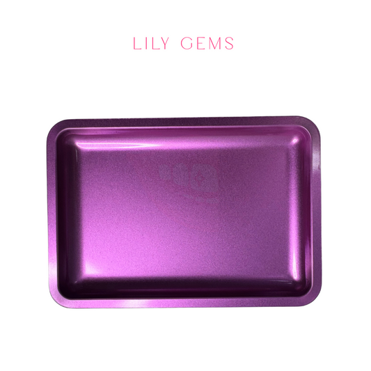 BANDEJA ACERO INOXIDABLE