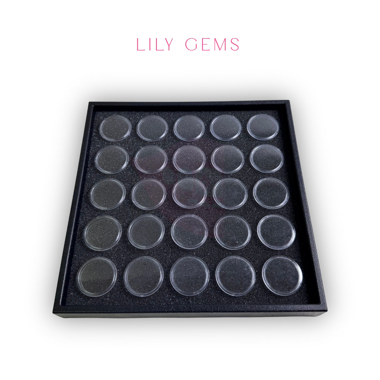 CAJA DE ALMACENAMIENTO PROFESIONAL